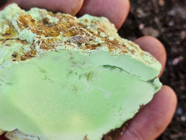 Polished Lime Magnesite specimen. MAP231