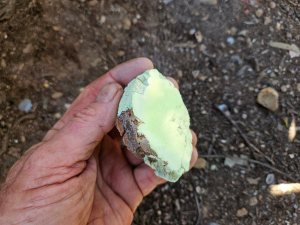 Polished Lime Magnesite specimen. MAP231