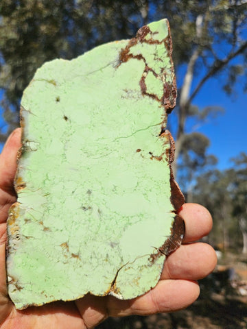 Polished Magnesite slab. MAP228