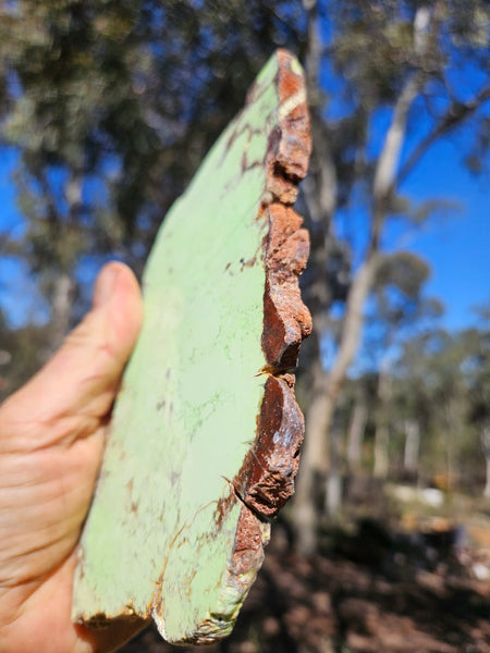 Polished Magnesite slab. MAP228