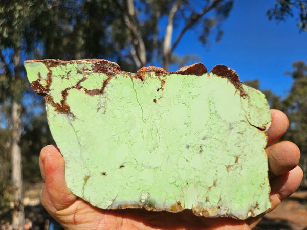 Polished Magnesite slab. MAP228