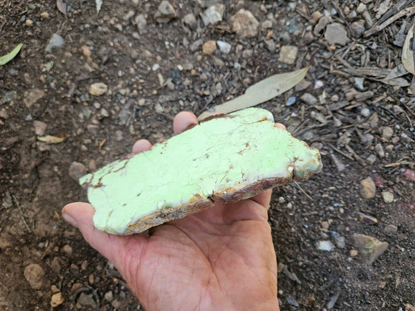 Polished Magnesite slab. MAP228