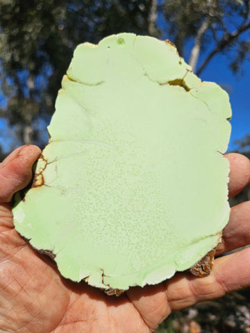Polished Magnesite slab. MAP229