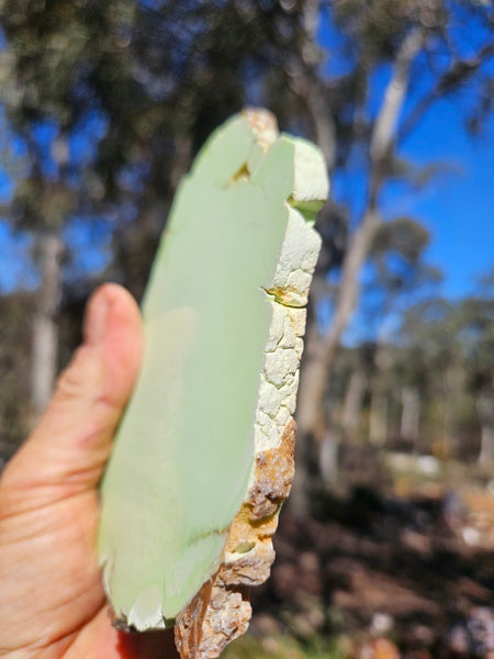 Polished Magnesite slab. MAP229
