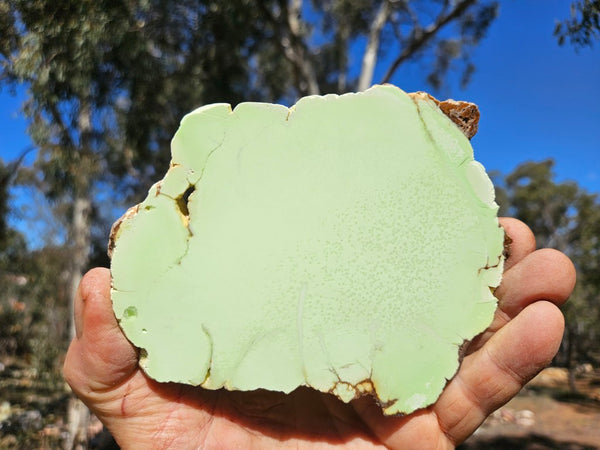 Polished Magnesite slab. MAP229