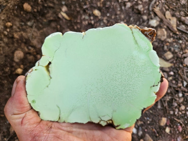Polished Magnesite slab. MAP229