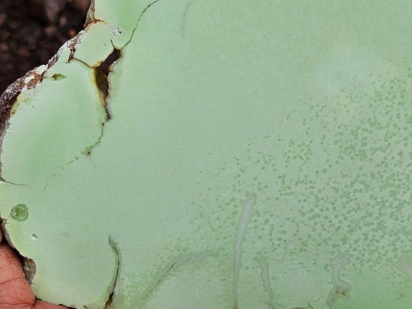 Polished Magnesite slab. MAP229