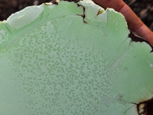 Polished Magnesite slab. MAP229