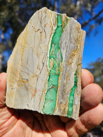 Variscite Polished Slab.  VP 311