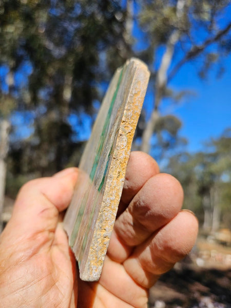 Variscite Polished Slab.  VP 311