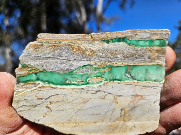 Variscite Polished Slab.  VP 311