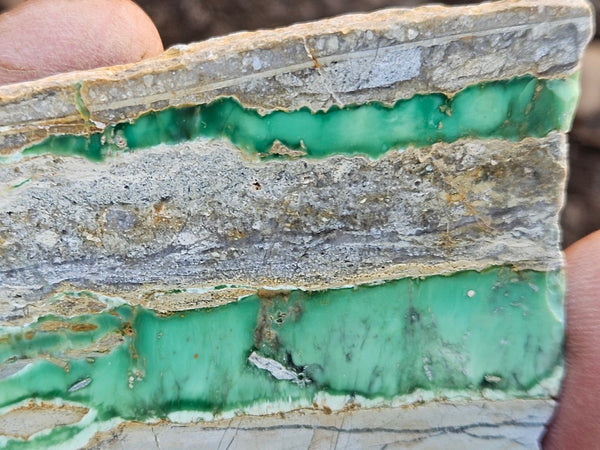 Variscite Polished Slab.  VP 311