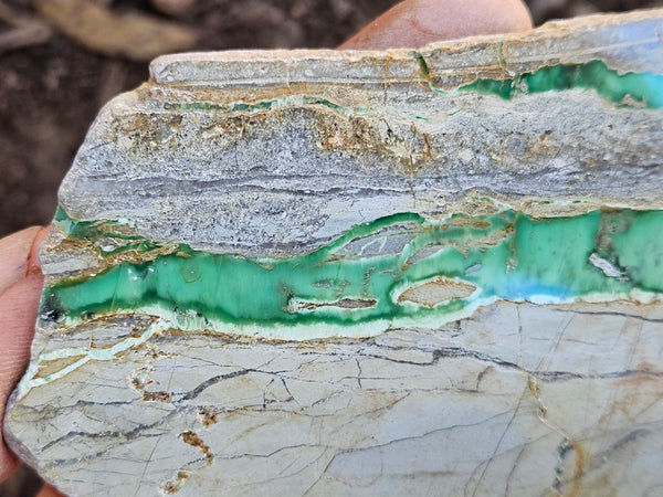 Variscite Polished Slab.  VP 311