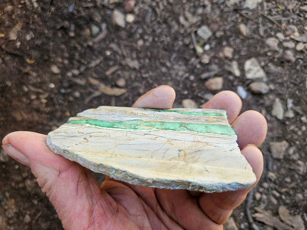 Variscite Polished Slab.  VP 311