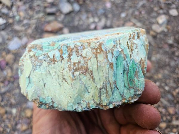 Variscite rough. VR620