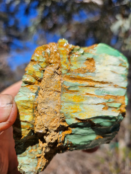 Variscite rough. VR620