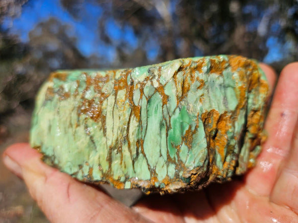 Variscite rough. VR620
