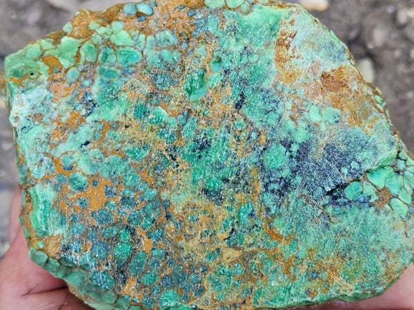 Variscite rough. VR620