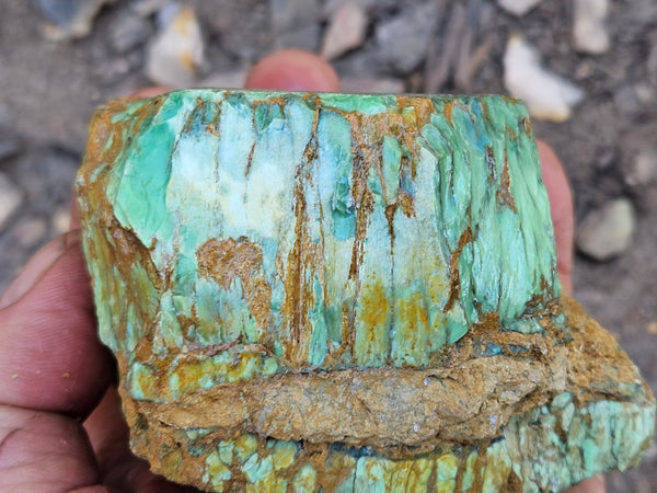 Variscite rough. VR620