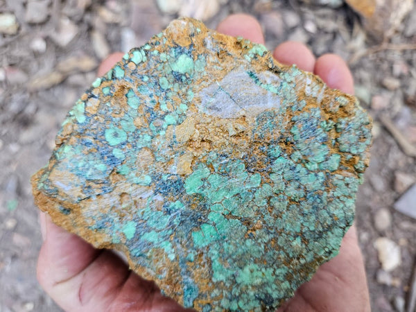 Variscite rough. VR620