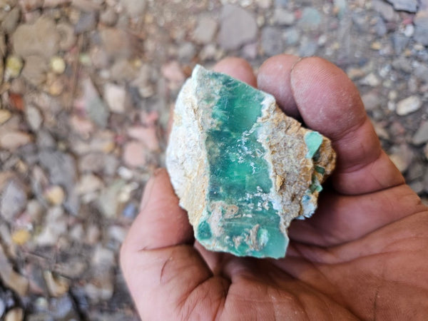 Variscite rough. VR621