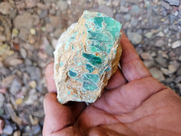 Variscite rough. VR621