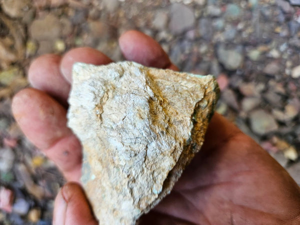 Variscite rough. VR621