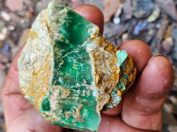 Variscite rough. VR621