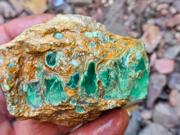 Variscite rough. VR621