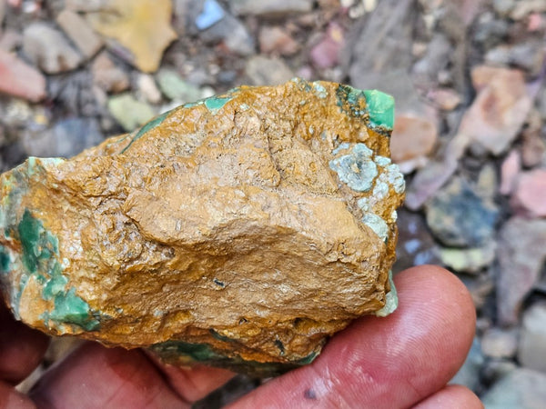 Variscite rough. VR621