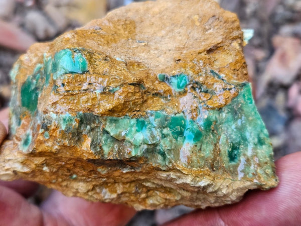 Variscite rough. VR621