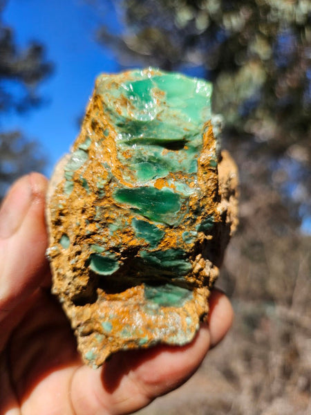 Variscite rough. VR621