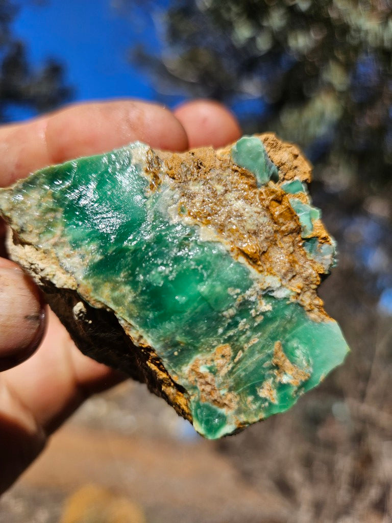 Variscite rough. VR621