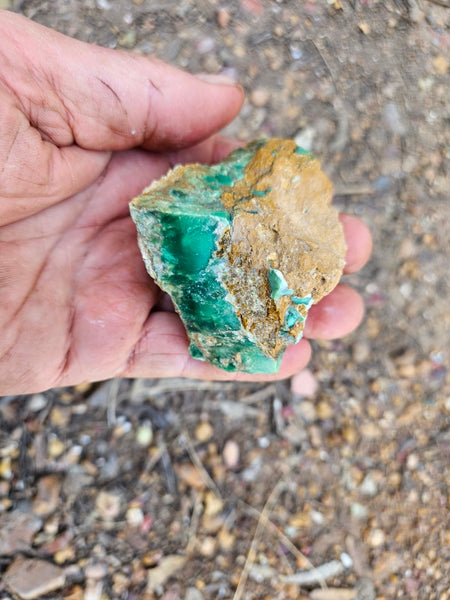 Variscite rough. VR621