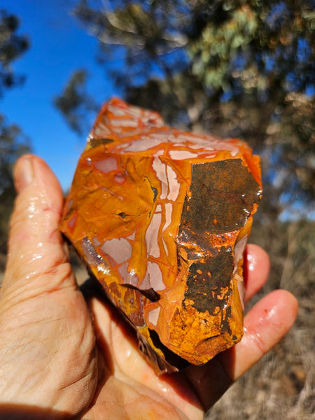 Noreena Jasper rough NJR200