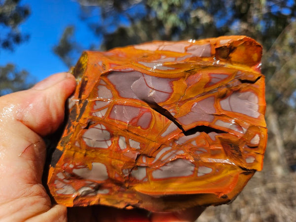Noreena Jasper rough NJR200