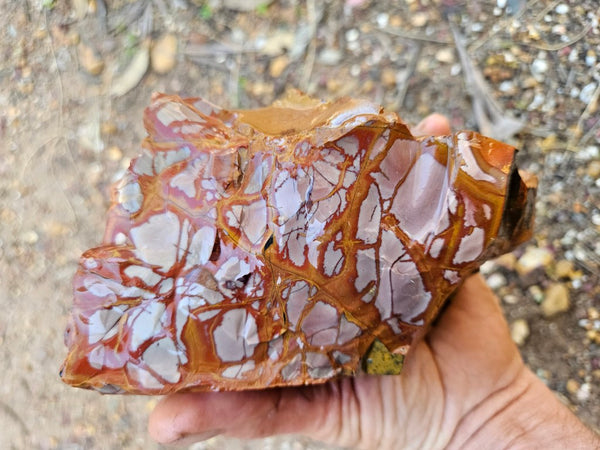 Noreena Jasper rough NJR200