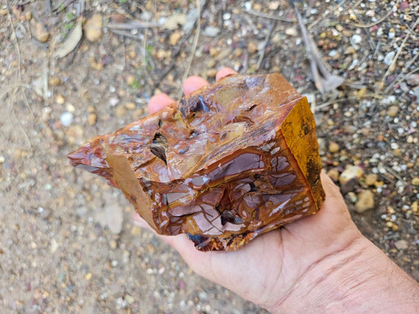 Noreena Jasper rough NJR200