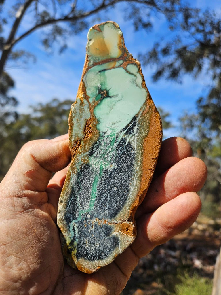 Polished Variscite   VP312