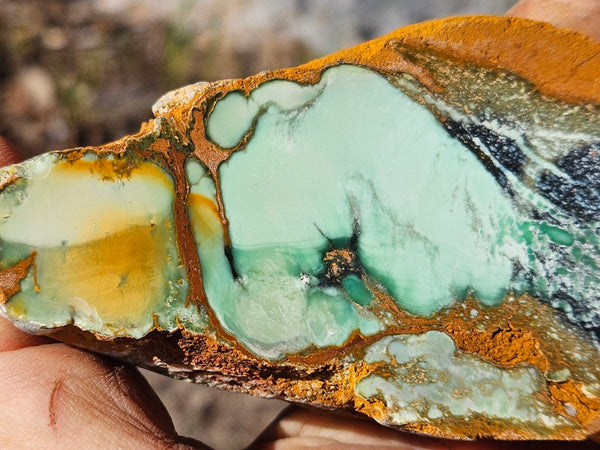 Polished Variscite   VP312