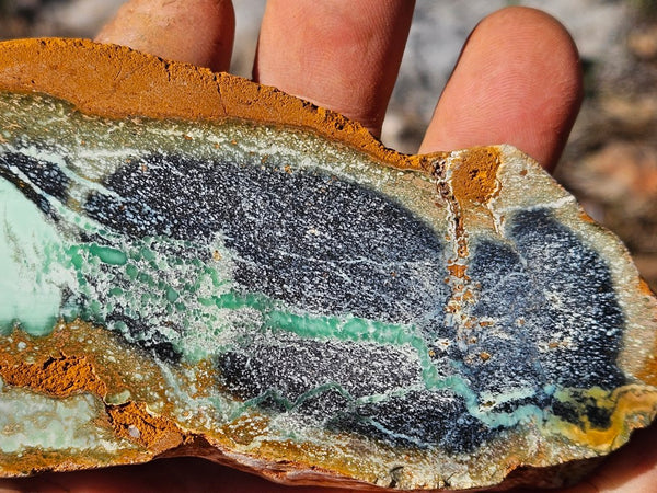 Polished Variscite   VP312