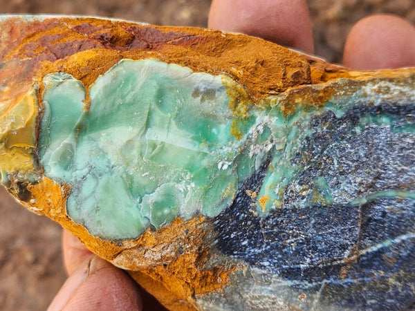 Polished Variscite   VP312