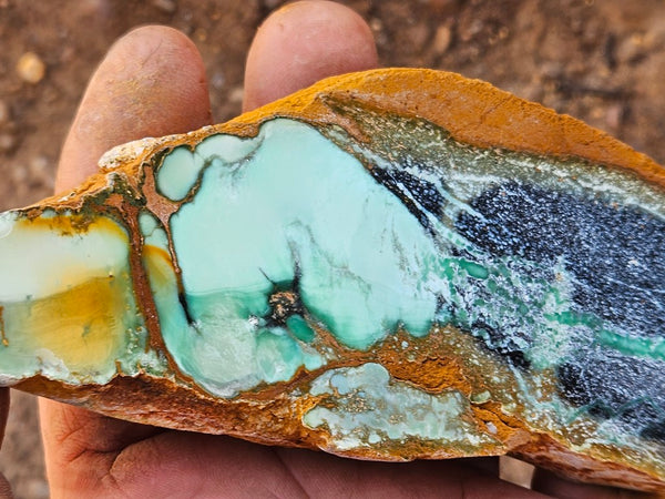 Polished Variscite   VP312