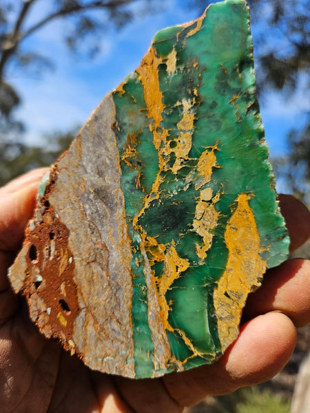 Polished Variscite   VP313