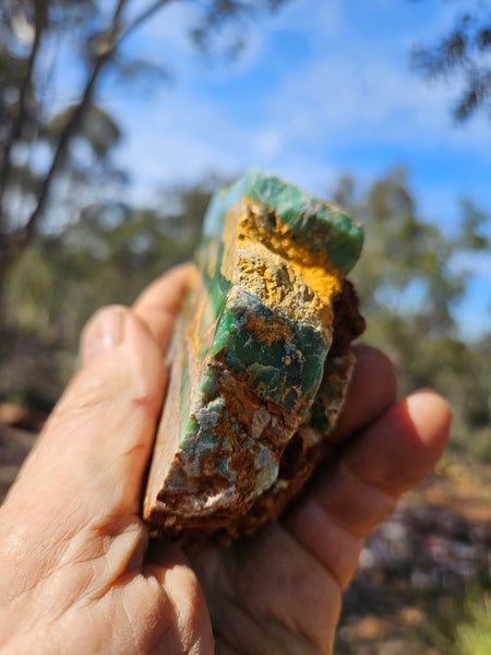 Polished Variscite   VP313