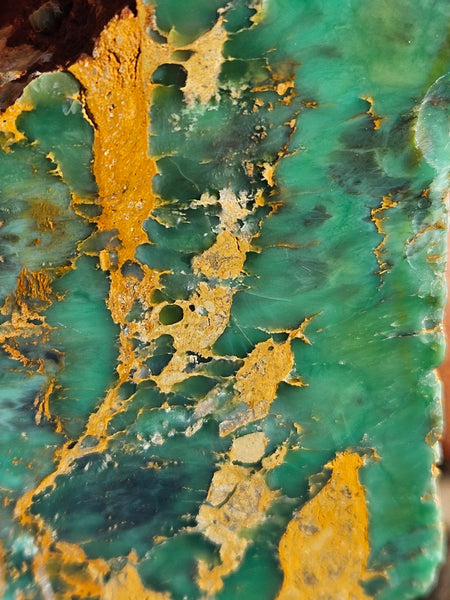 Polished Variscite   VP313