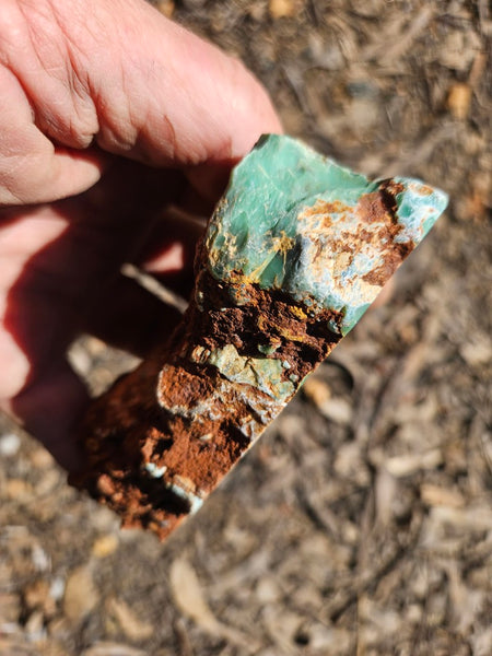 Polished Variscite   VP313