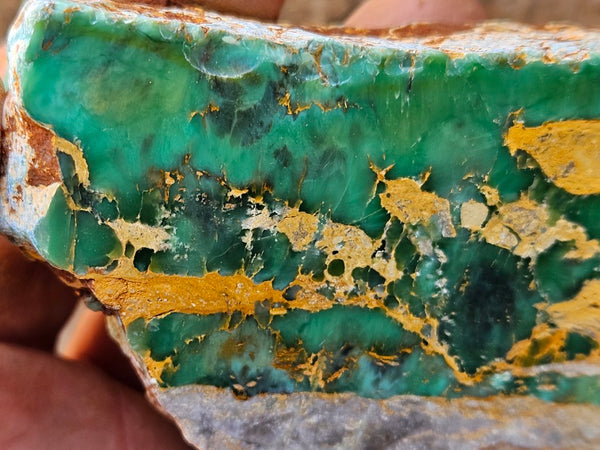 Polished Variscite   VP313