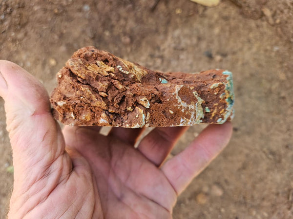 Polished Variscite   VP313