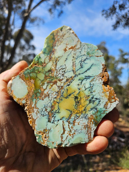 Polished Variscite   VP314